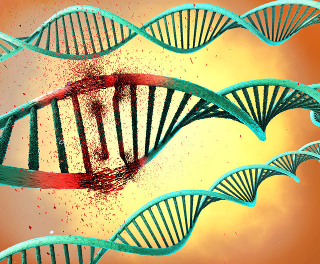 ATAC解析,全エクソン解析,エクソーム解析,日本バイオ,ハイテクノロジーズ,WES,CAREN,NGS,DNA,メチル化,分析,解析,受託,JBHI,single-cell,sureselect,v6,agilent