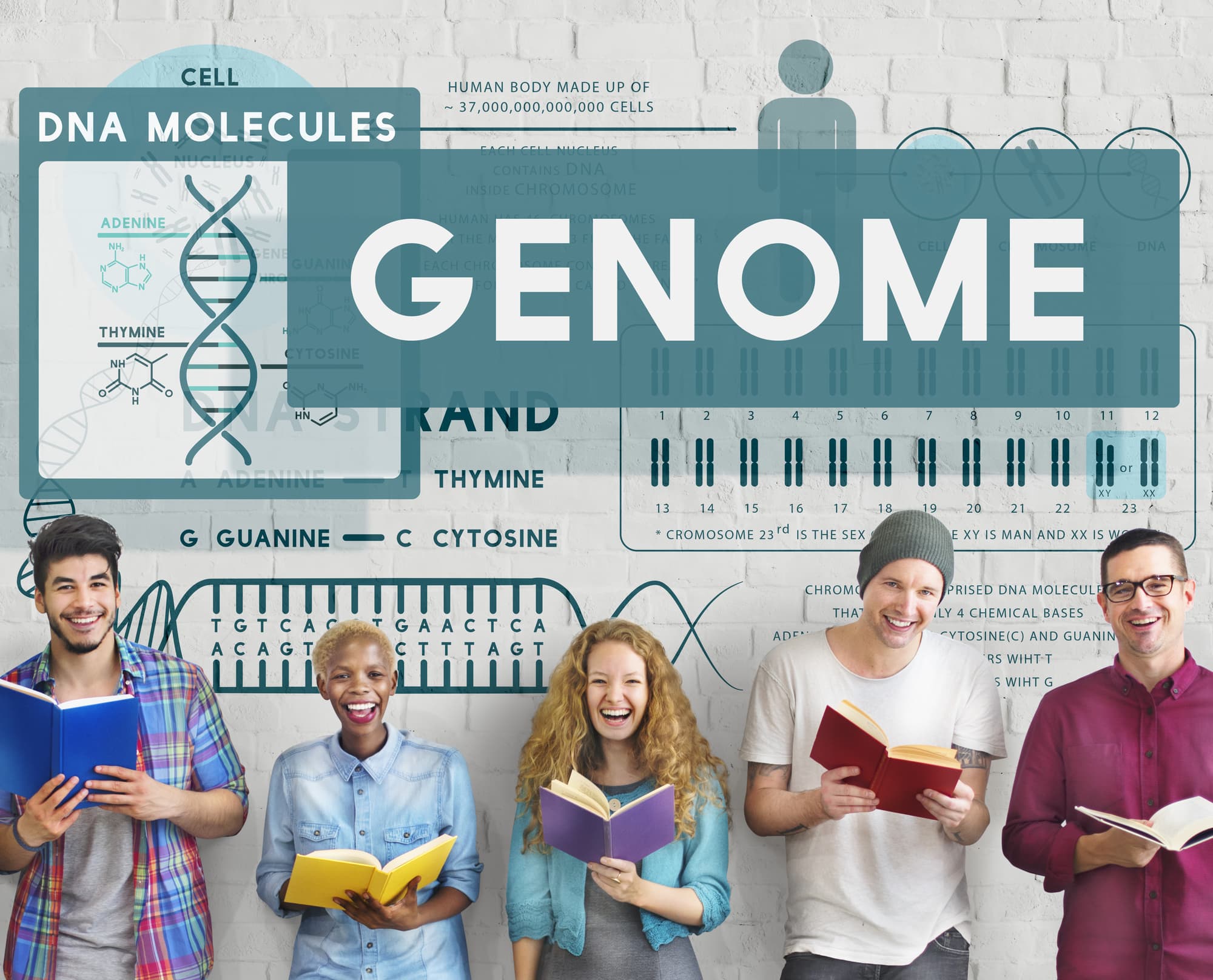 エクソーム解析,WES,CAREN,NGS,DNA,メチル化,分析,解析,受託,JBHI,single-cell